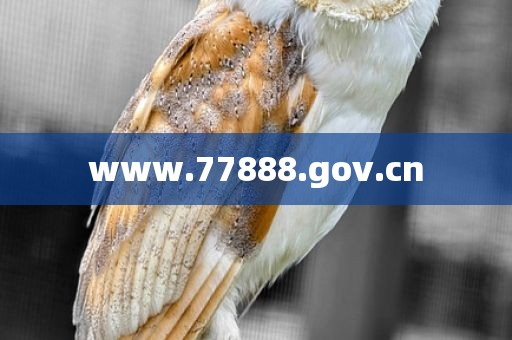 www.77888.gov.cn