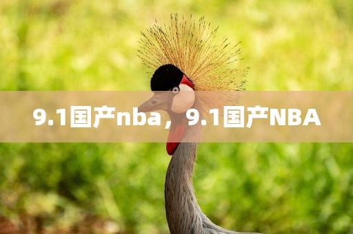 9.1国产nba，9.1国产NBA