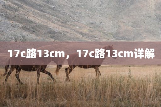 17c路13cm，17c路13cm详解