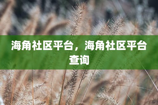 海角社区平台，海角社区平台查询