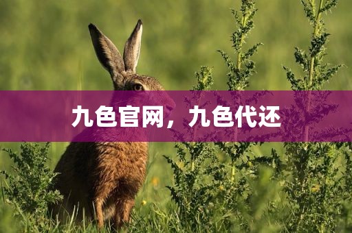 九色官网，九色代还