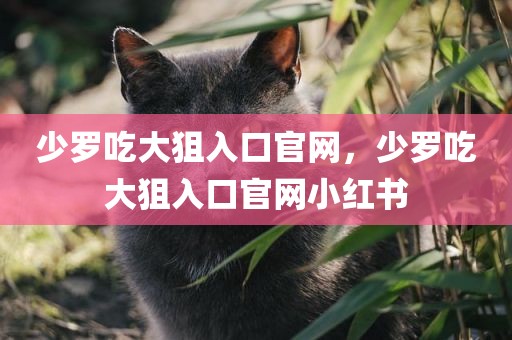 少罗吃大狙入口官网，少罗吃大狙入口官网小红书