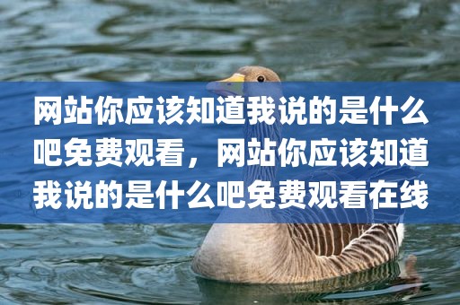 网站你应该知道我说的是什么吧免费观看，网站你应该知道我说的是什么吧免费观看在线