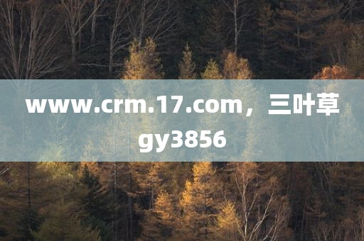 www.crm.17.com，三叶草gy3856
