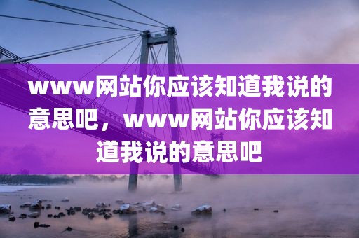 www网站你应该知道我说的意思吧，www网站你应该知道我说的意思吧