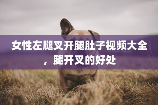 女性左腿叉开腿肚子视频大全，腿开叉的好处