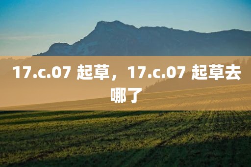 17.c.07 起草，17.c.07 起草去哪了