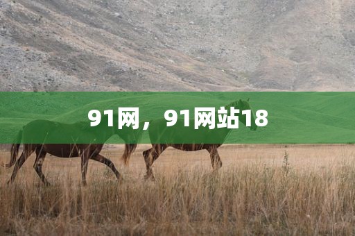 91网，91网站18