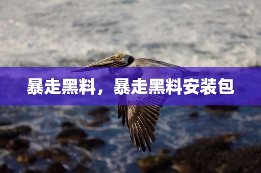 暴走黑料，暴走黑料安装包