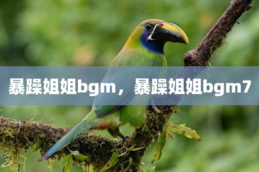 暴躁姐姐bgm，暴躁姐姐bgm7