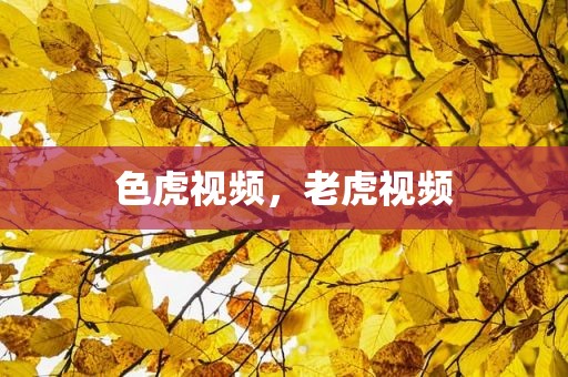 色虎视频，老虎视频