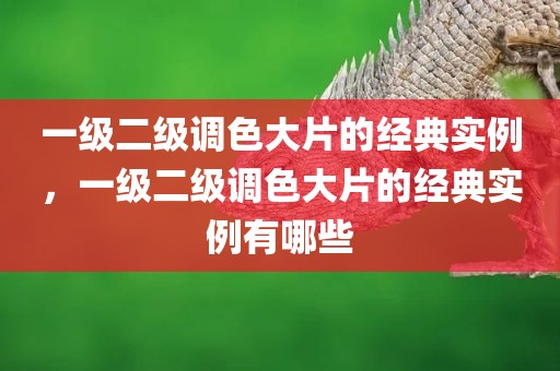 一级二级调色大片的经典实例，一级二级调色大片的经典实例有哪些