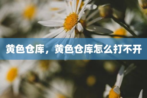 黄色仓库，黄色仓库怎么打不开