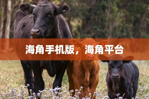 海角手机版，海角平台