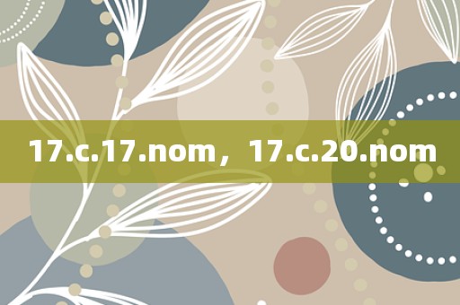 17.c.17.nom，17.c.20.nom