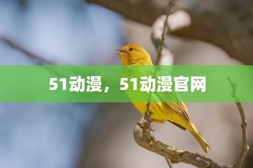 51动漫，51动漫官网