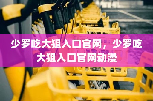 少罗吃大狙入口官网，少罗吃大狙入口官网动漫