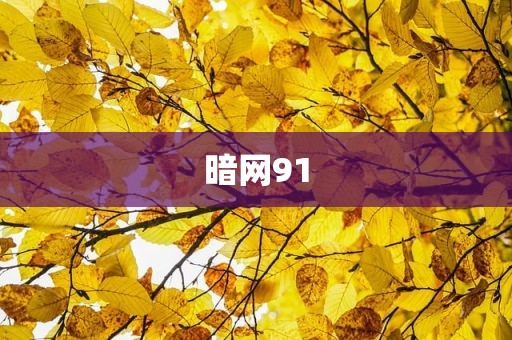 暗网91