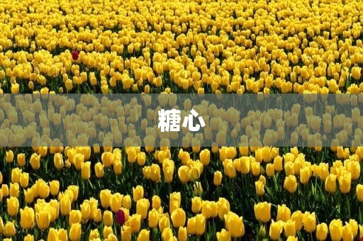 糖心