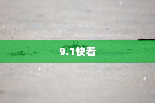 9.1快看