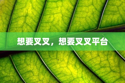 想要叉叉，想要叉叉平台