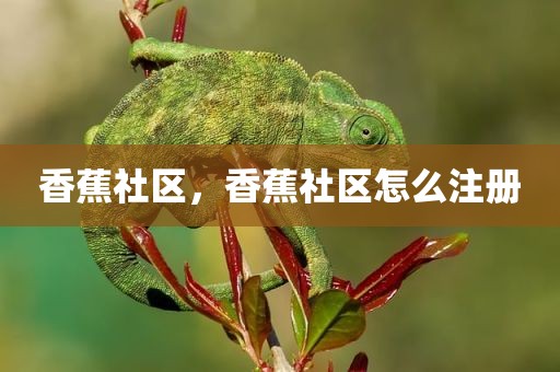 香蕉社区，香蕉社区怎么注册