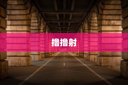撸撸射