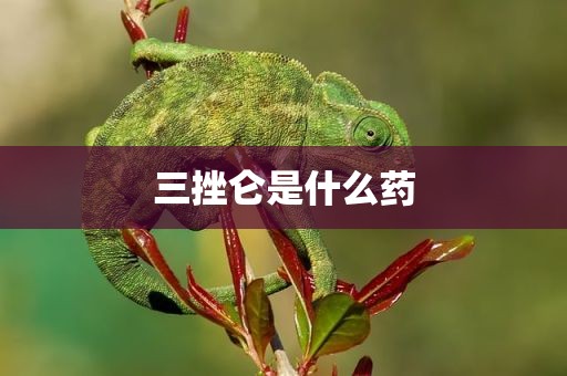 三挫仑是什么药