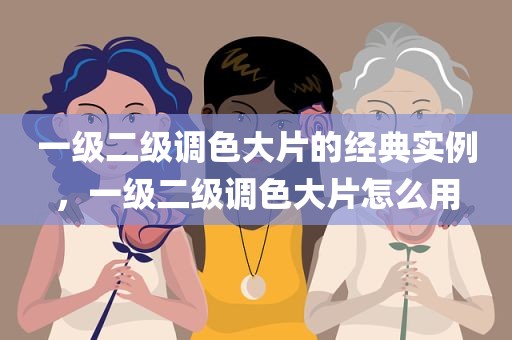 一级二级调色大片的经典实例，一级二级调色大片怎么用