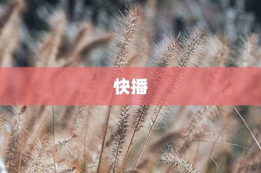快播