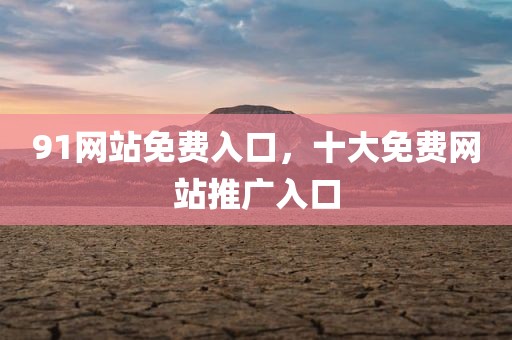 91网站免费入口，十大免费网站推广入口