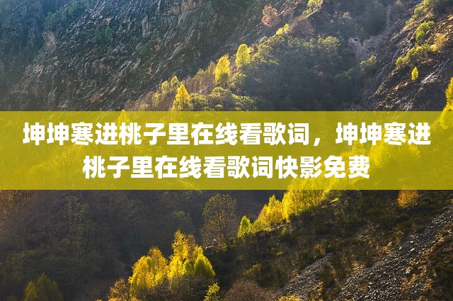 坤坤寒进桃子里在线看歌词，坤坤寒进桃子里在线看歌词快影免费