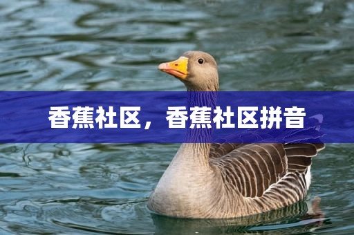 香蕉社区，香蕉社区拼音