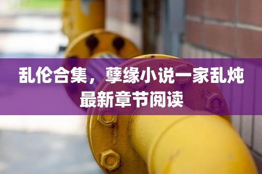 乱伦合集，孽缘小说一家乱炖最新章节阅读