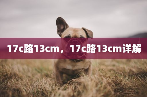 17c路13cm，17c路13cm详解