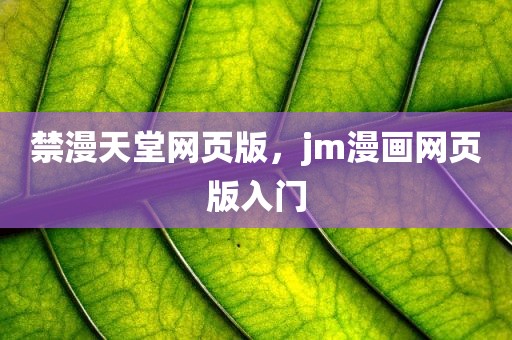 禁漫天堂网页版，jm漫画网页版入门