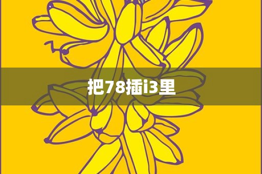 把78插i3里