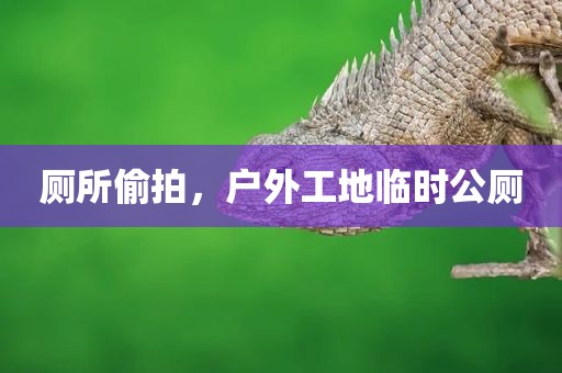 厕所偷拍，户外工地临时公厕