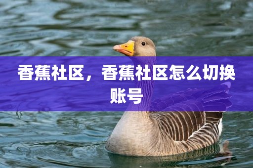 香蕉社区，香蕉社区怎么切换账号