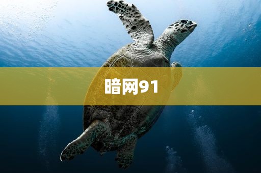 暗网91