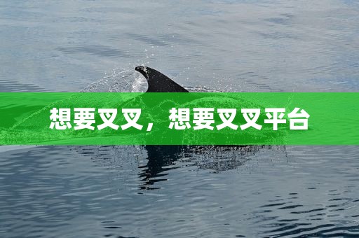 想要叉叉，想要叉叉平台