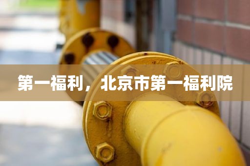 第一福利，北京市第一福利院