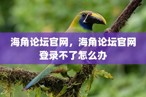 海角论坛官网，海角论坛官网登录不了怎么办