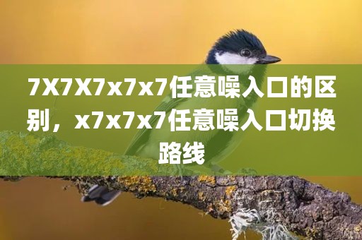 7X7X7x7x7任意噪入口的区别，x7x7x7任意噪入口切换路线