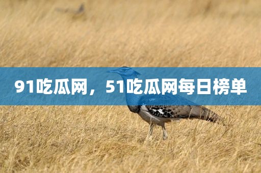 91吃瓜网，51吃瓜网每日榜单