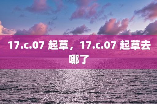 17.c.07 起草，17.c.07 起草去哪了