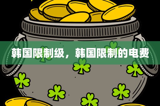 韩国限制级，韩国限制的电费