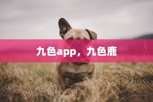 九色app，九色鹿