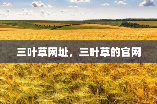 三叶草网址，三叶草的官网