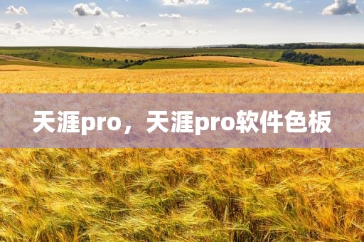 天涯pro，天涯pro软件色板